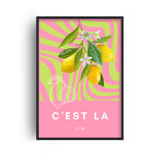 C'est La Vie French Quote Print | French Phrases