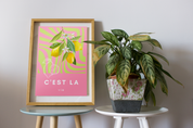 C'est La Vie French Quote Print | French Phrases